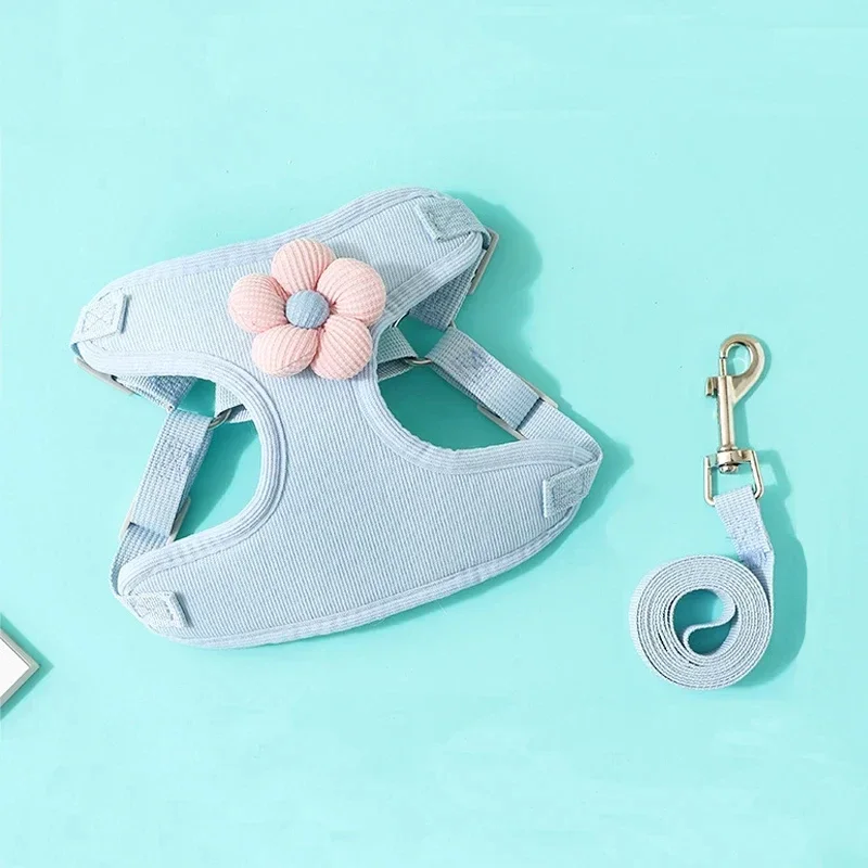 Harnais pour petit chien - fleur céleste