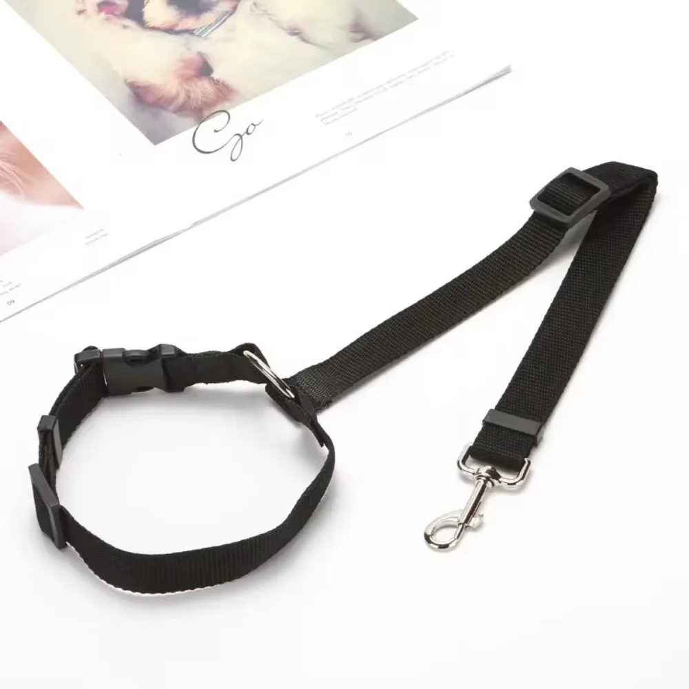 Harnais pour petit chien - collier noir élégant