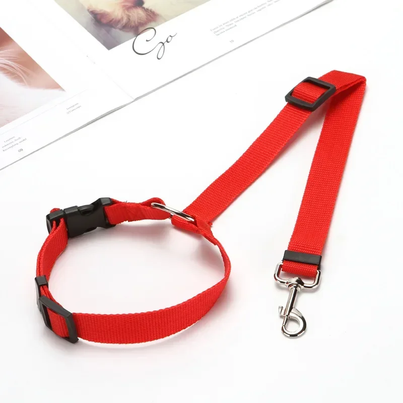 Harnais pour chien en voiture - collier rouge étoilé