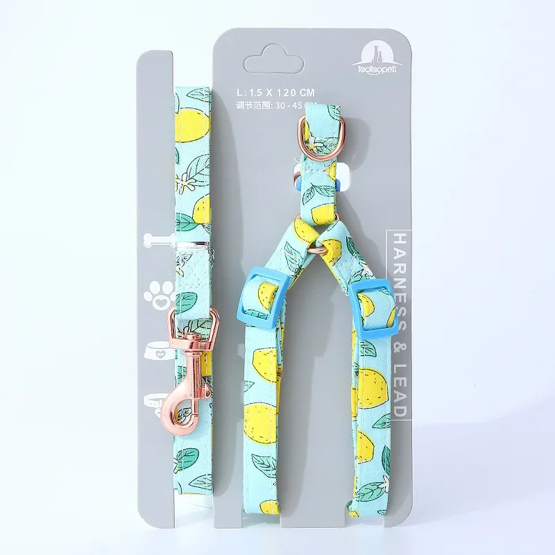 Harnais pour petit chien - harmonie canine