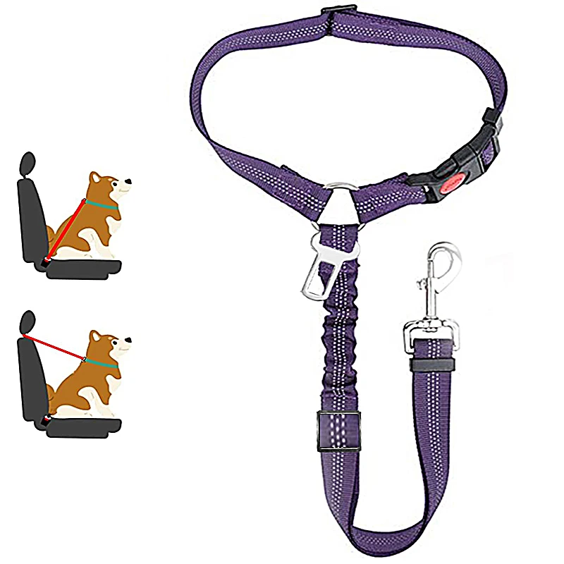 Harnais pour voiture chien - harnais aventure violet