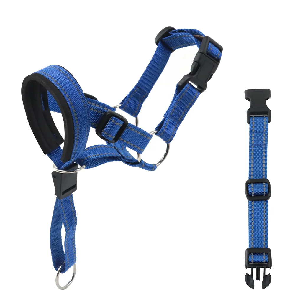 Harnais traction pour chien - ciel bleu, doux compagnon, chien élégant