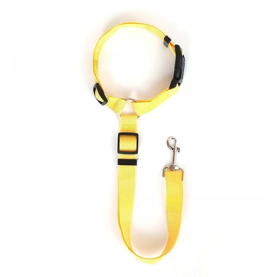 Harnais pour chien - collier chien joyeux