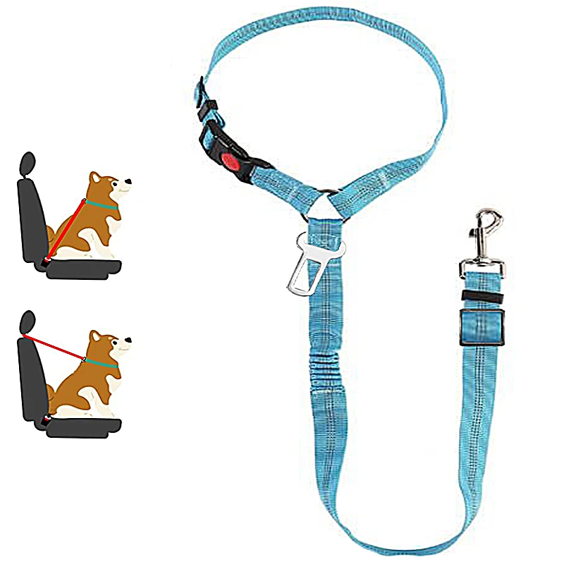 Harnais pour voiture chien - saphir canin